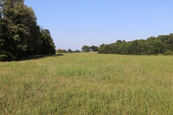0 Highway 52 East Property Photo 6