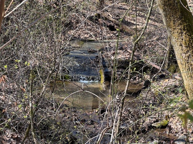 1491 Cates Rd Property Photo 46