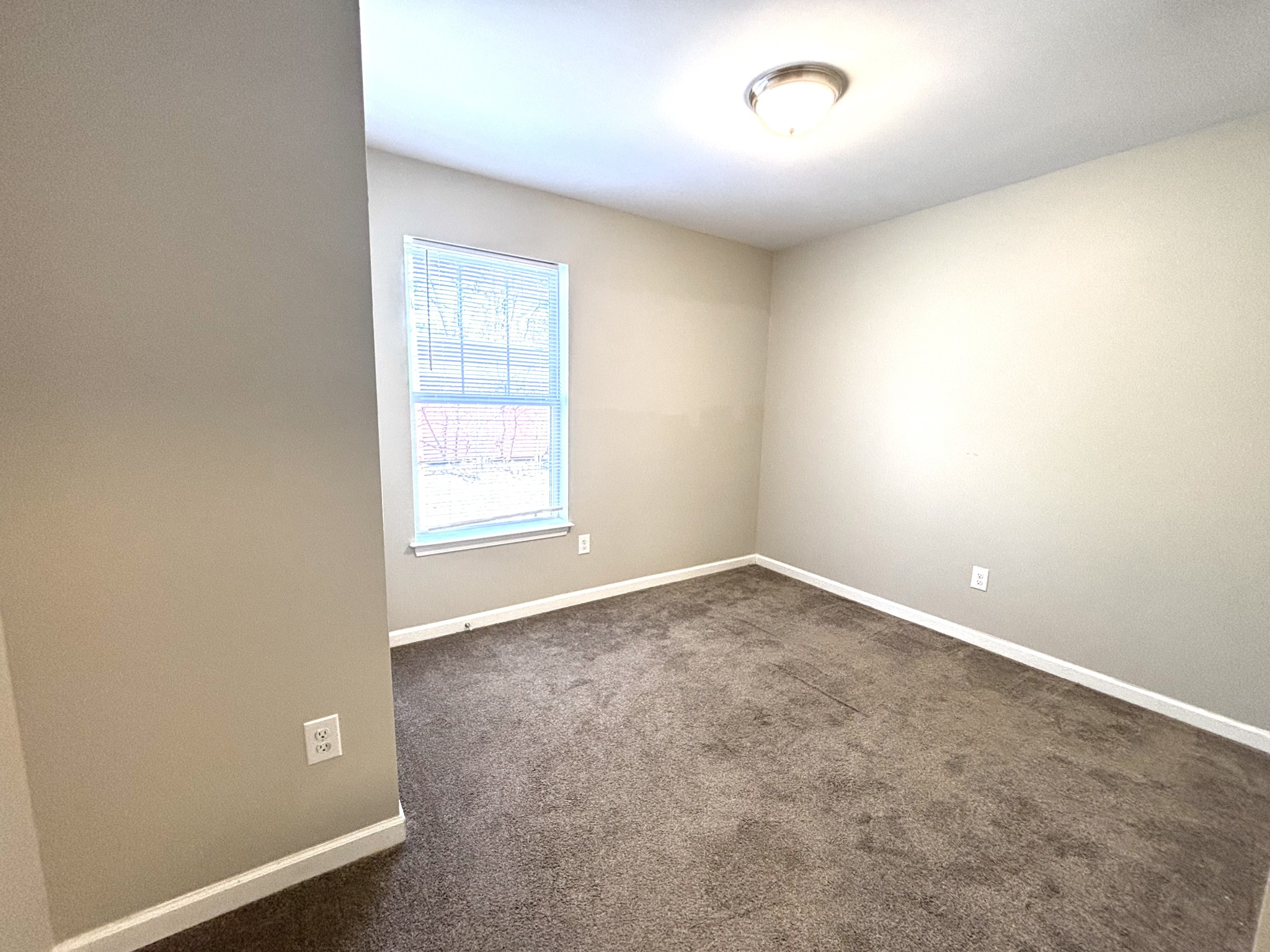 3116 Lauren Evelyn Way Property Photo 12