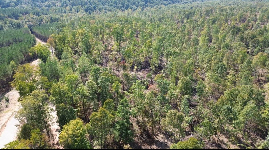 0 Short Creek Rd Property Photo 2