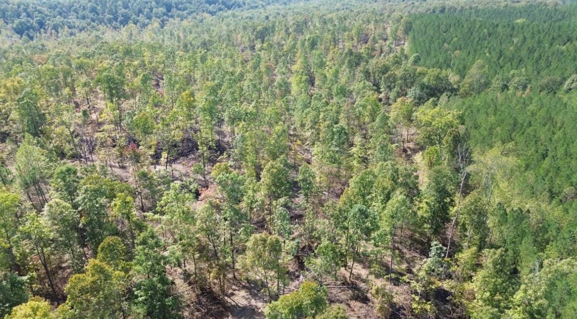 0 Short Creek Rd Property Photo 4