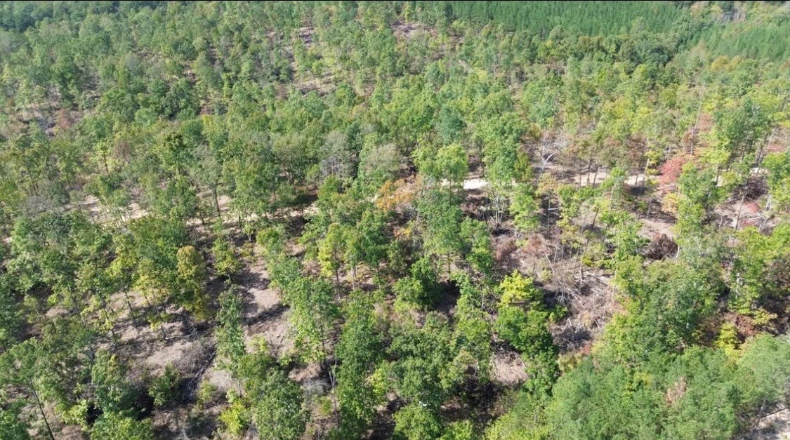 0 Short Creek Rd Property Photo 5