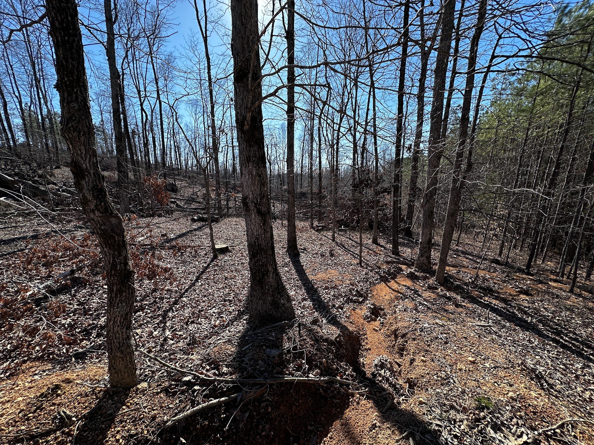 0 Short Creek Rd Property Photo 15