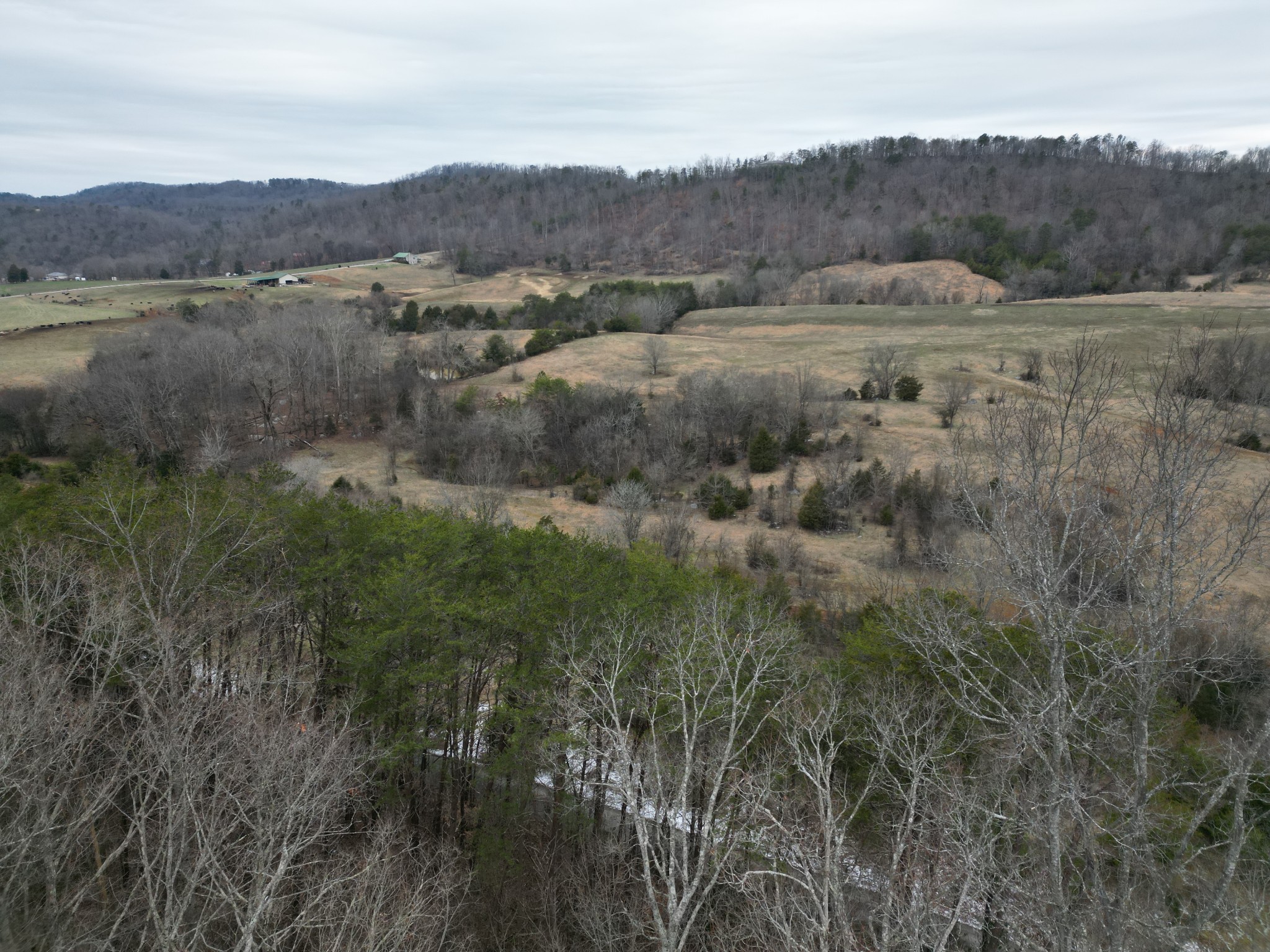 0 Dinkins Rd Property Photo 7