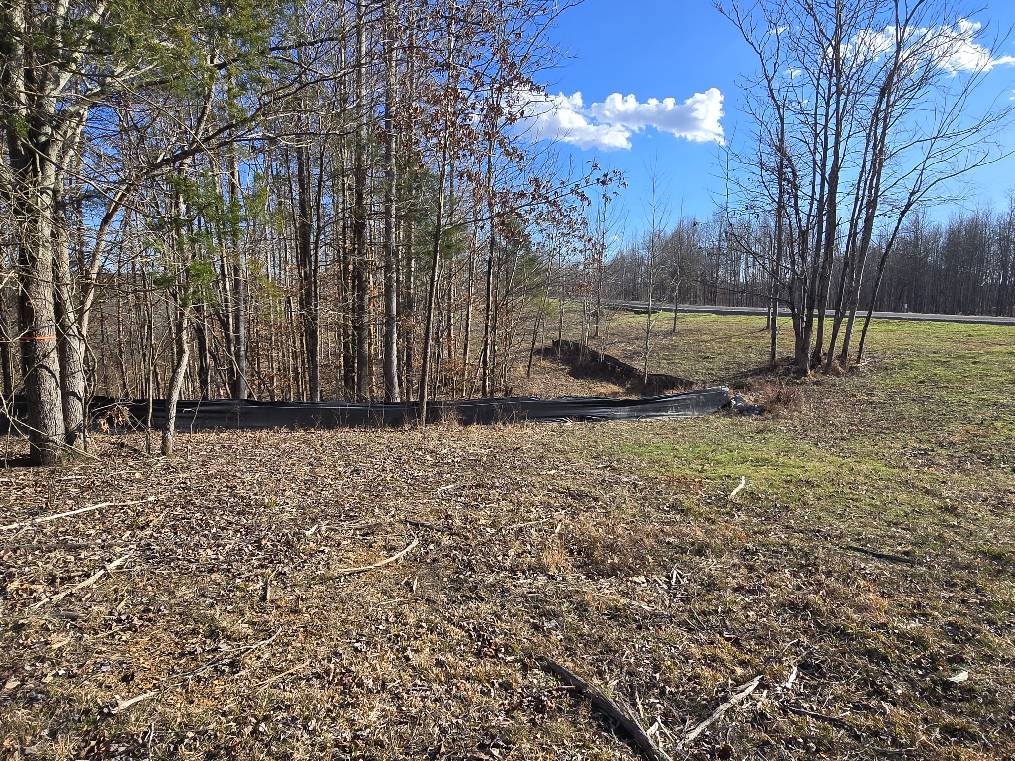 9614 Medlin Road Property Photo 5