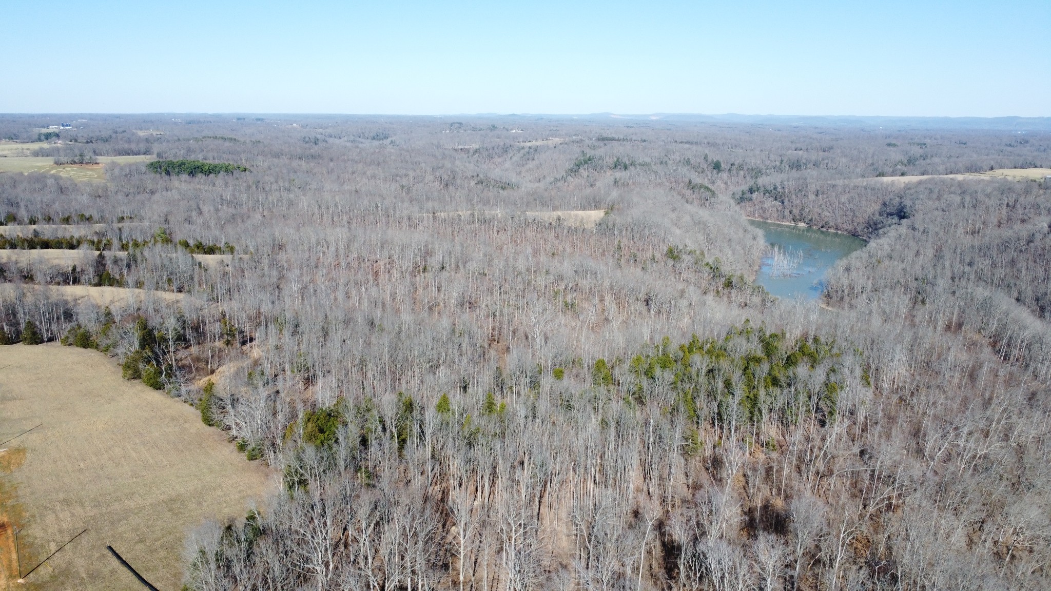 9614 Medlin Road Property Photo 21