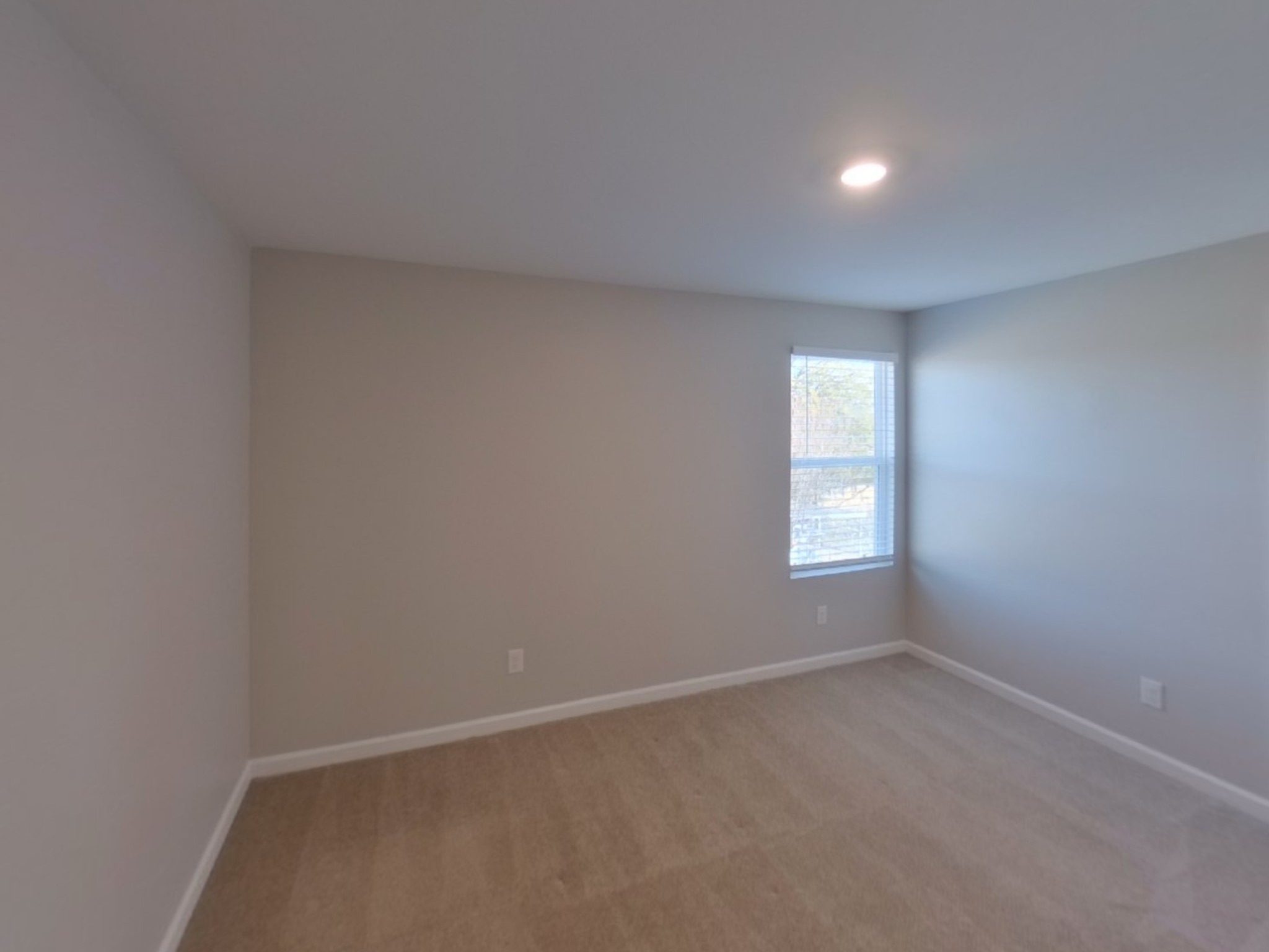 2243 Lismore Dr Property Photo 5