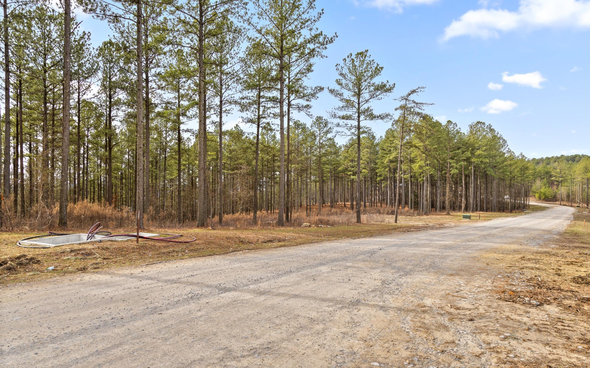 1365 Split Rail Way Property Photo 15