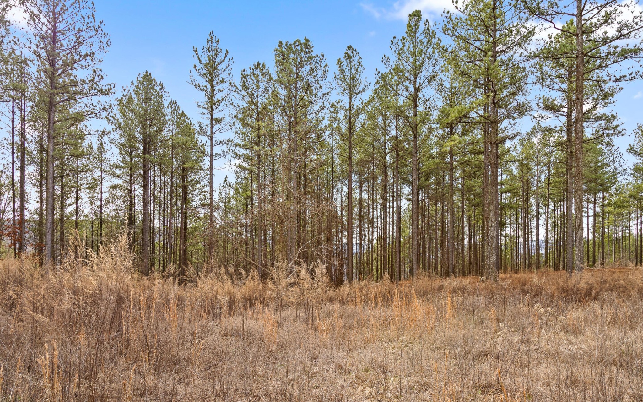 1365 Split Rail Way Property Photo 16
