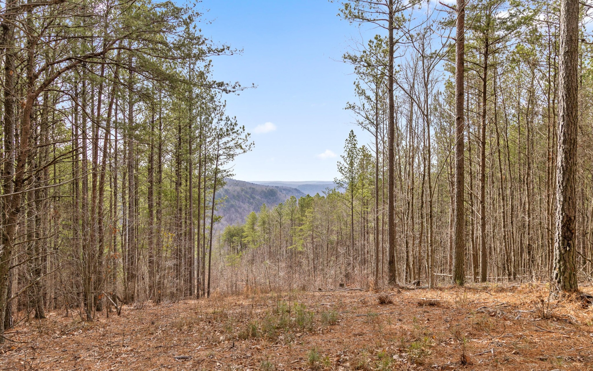 1365 Split Rail Way Property Photo 17