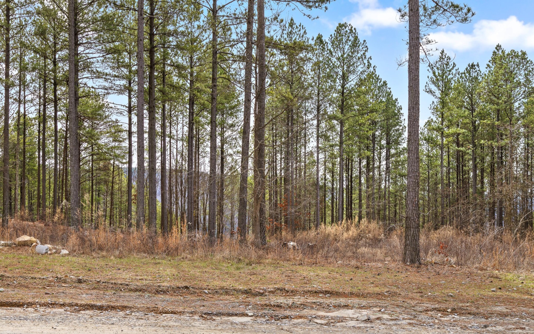 1365 Split Rail Way Property Photo 18
