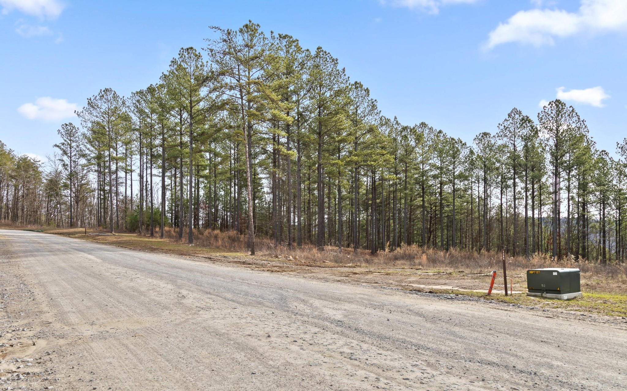 1365 Split Rail Way Property Photo 21