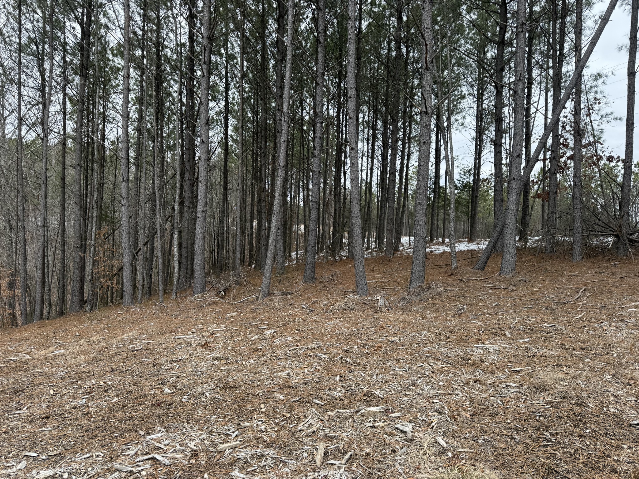 199 Wedgewood Drive Property Photo 4