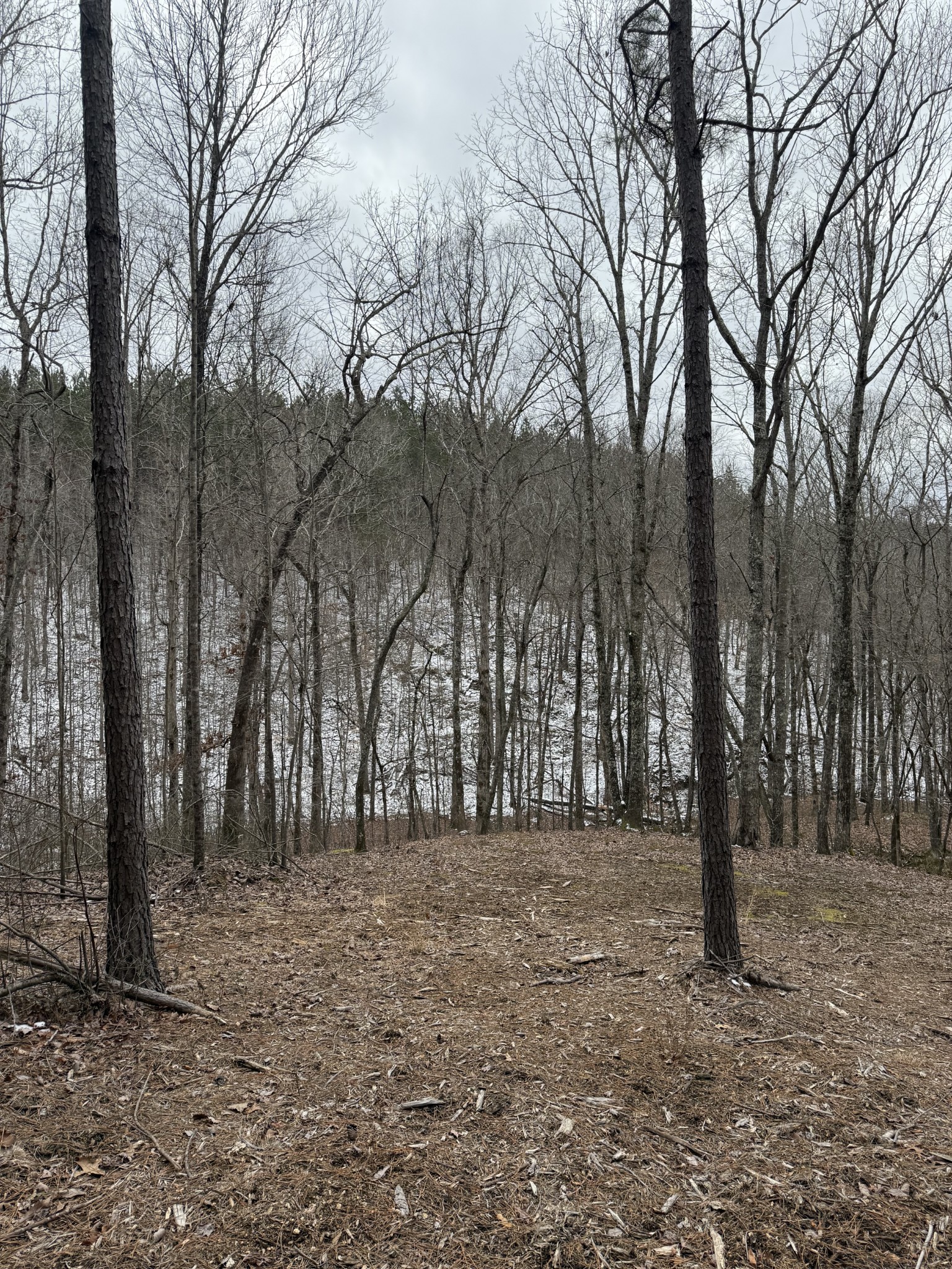 199 Wedgewood Drive Property Photo 12