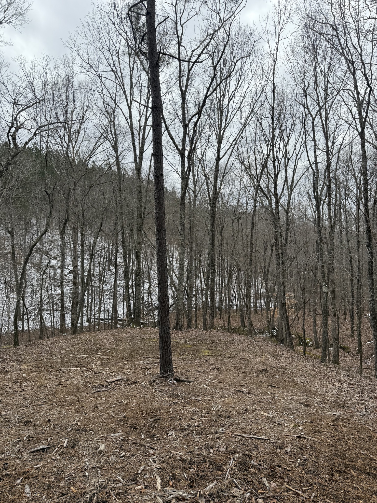 199 Wedgewood Drive Property Photo 13