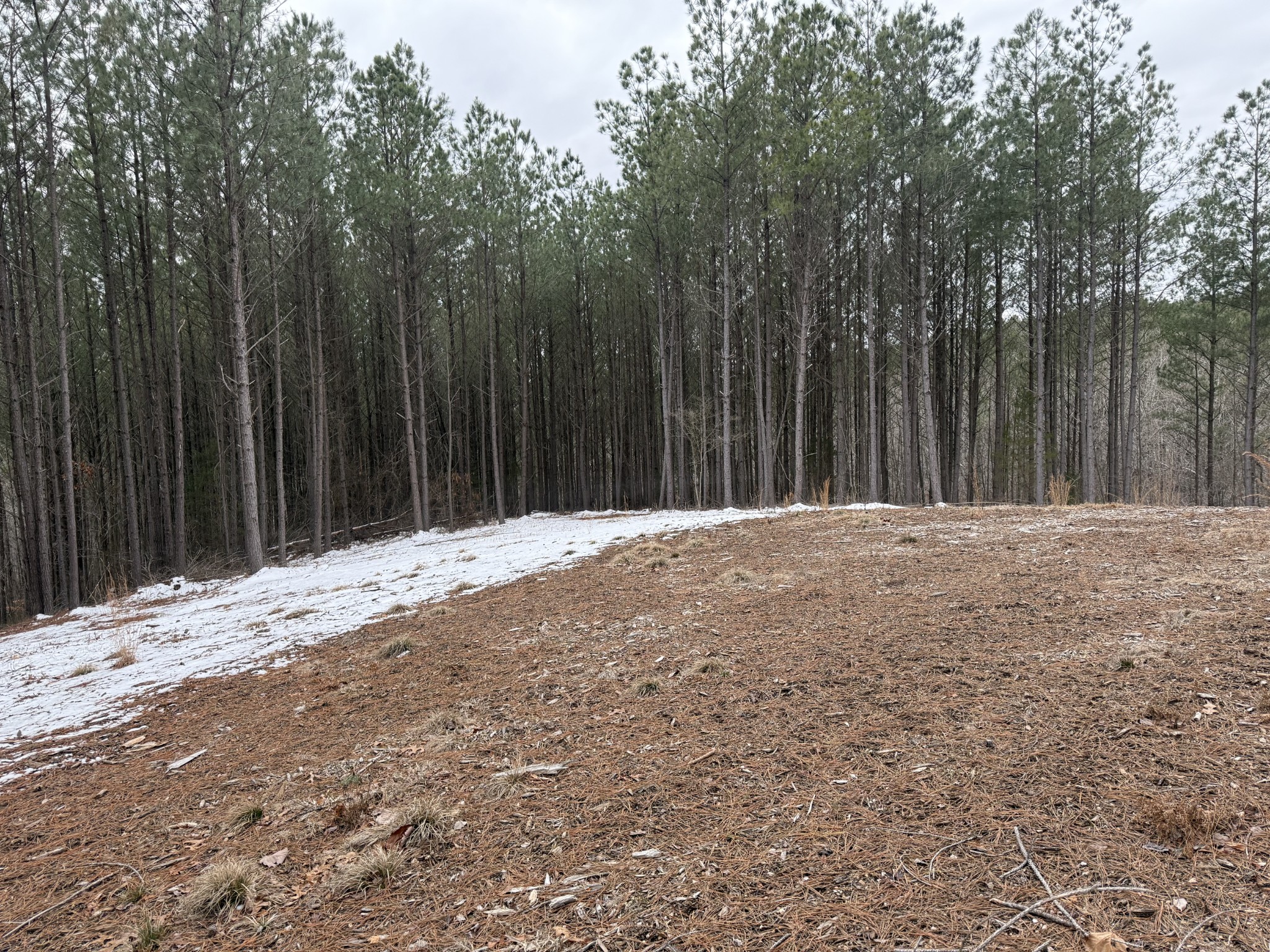 199 Wedgewood Drive Property Photo 16