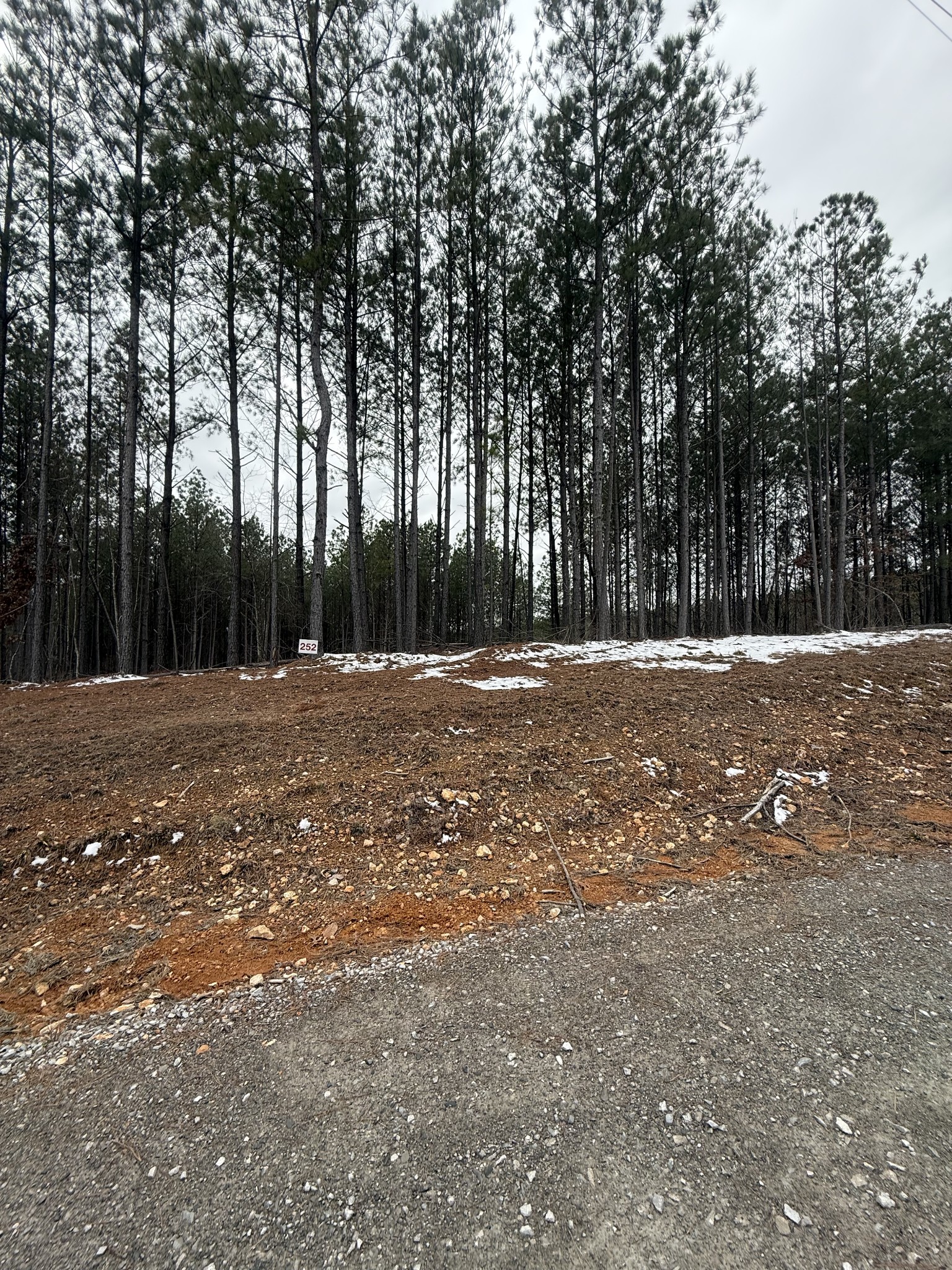199 Wedgewood Drive Property Photo 19