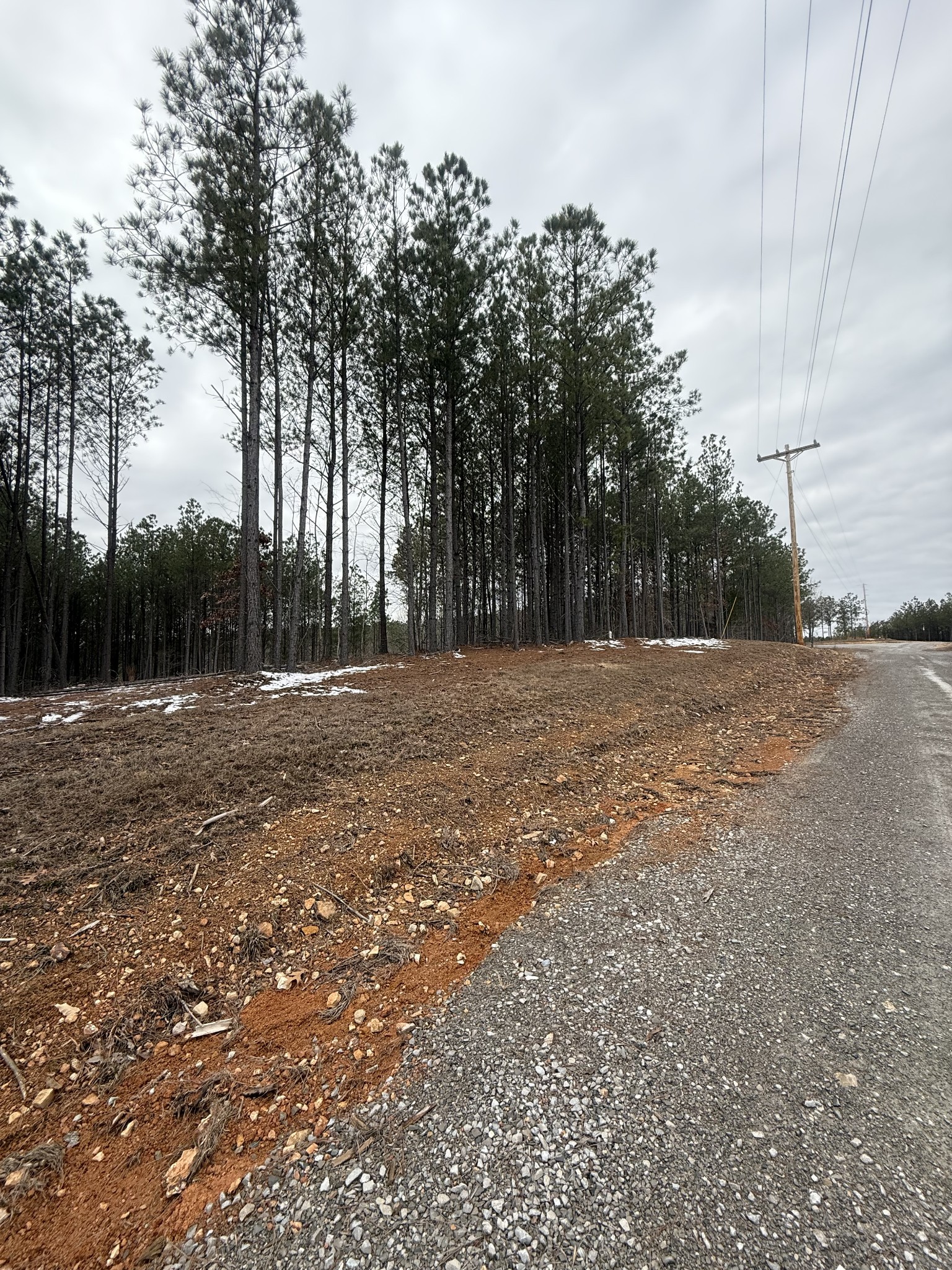 199 Wedgewood Drive Property Photo 20