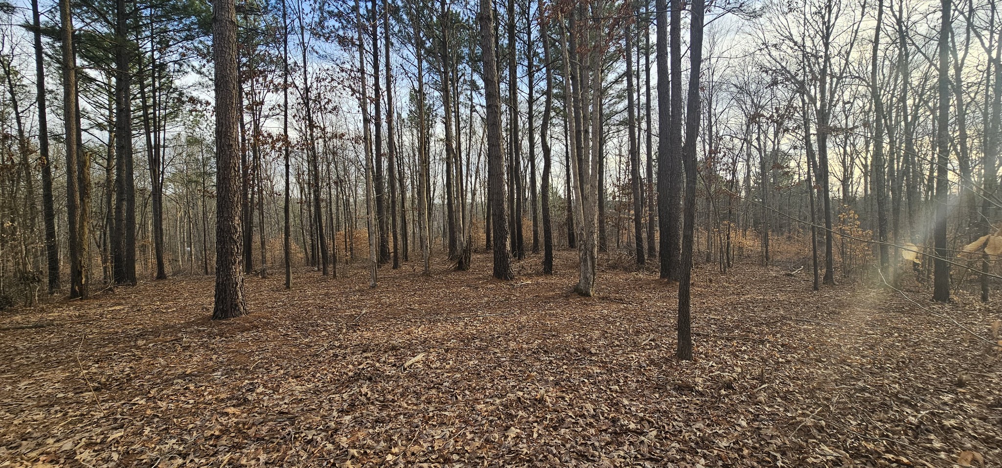 171 Old Mathis Hollow Ln Property Photo 3