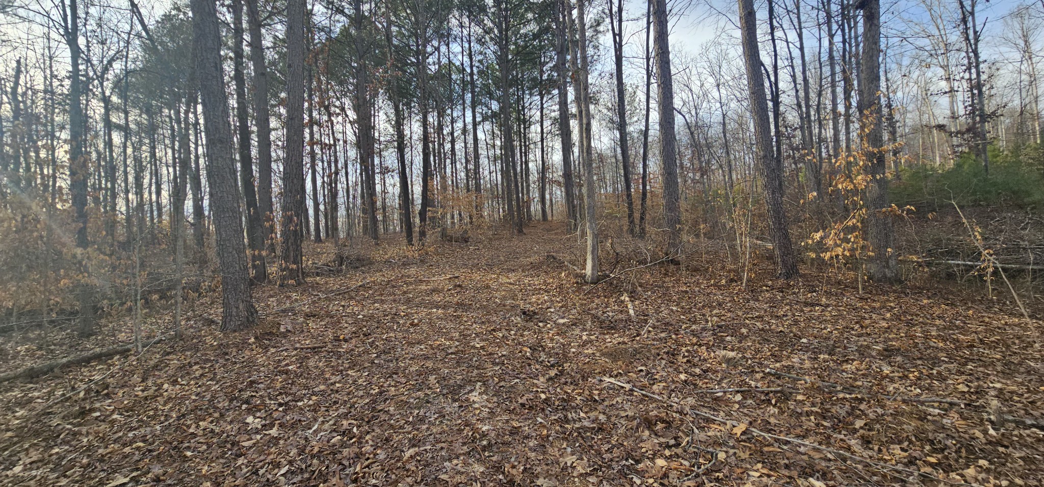 171 Old Mathis Hollow Ln Property Photo 6