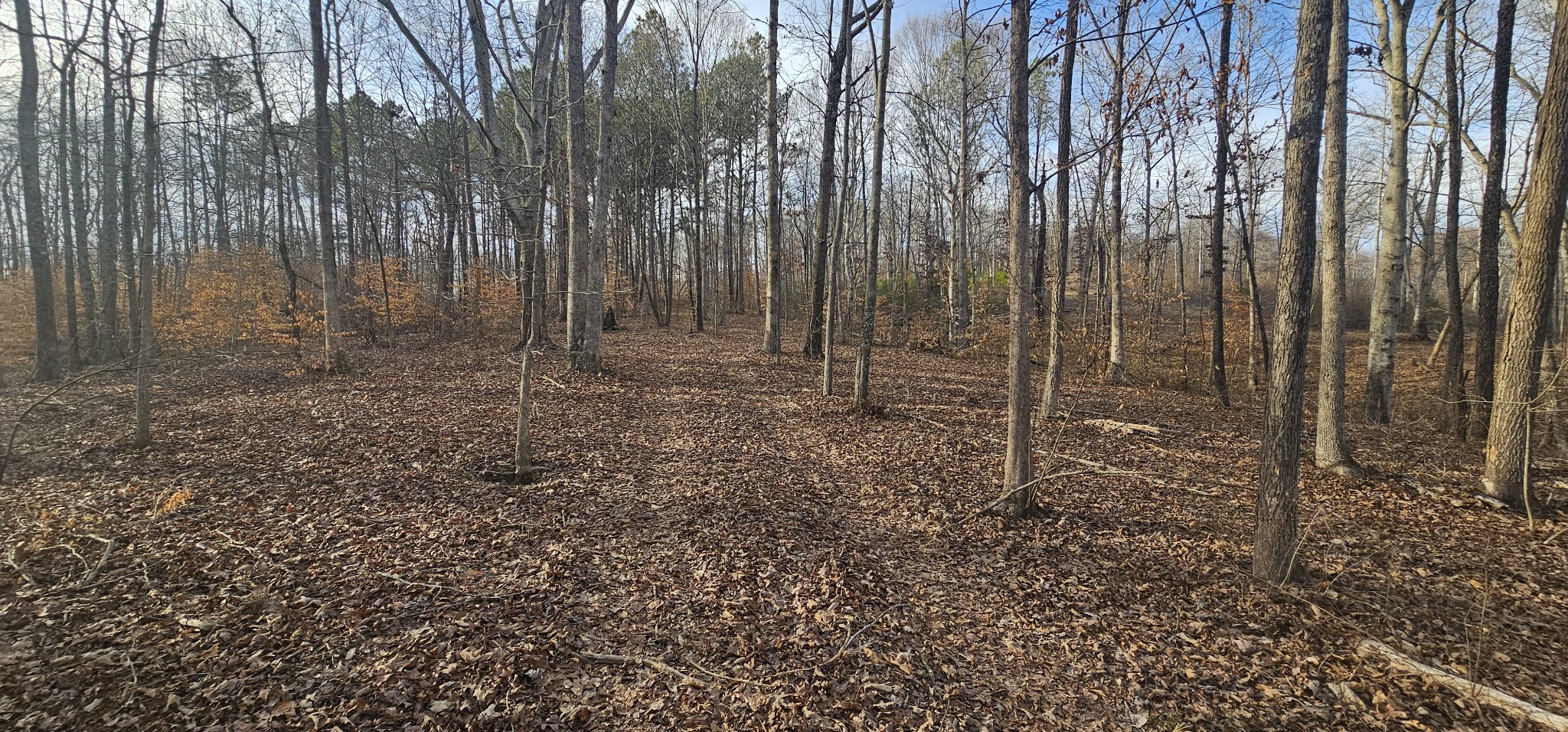 171 Old Mathis Hollow Ln Property Photo 7
