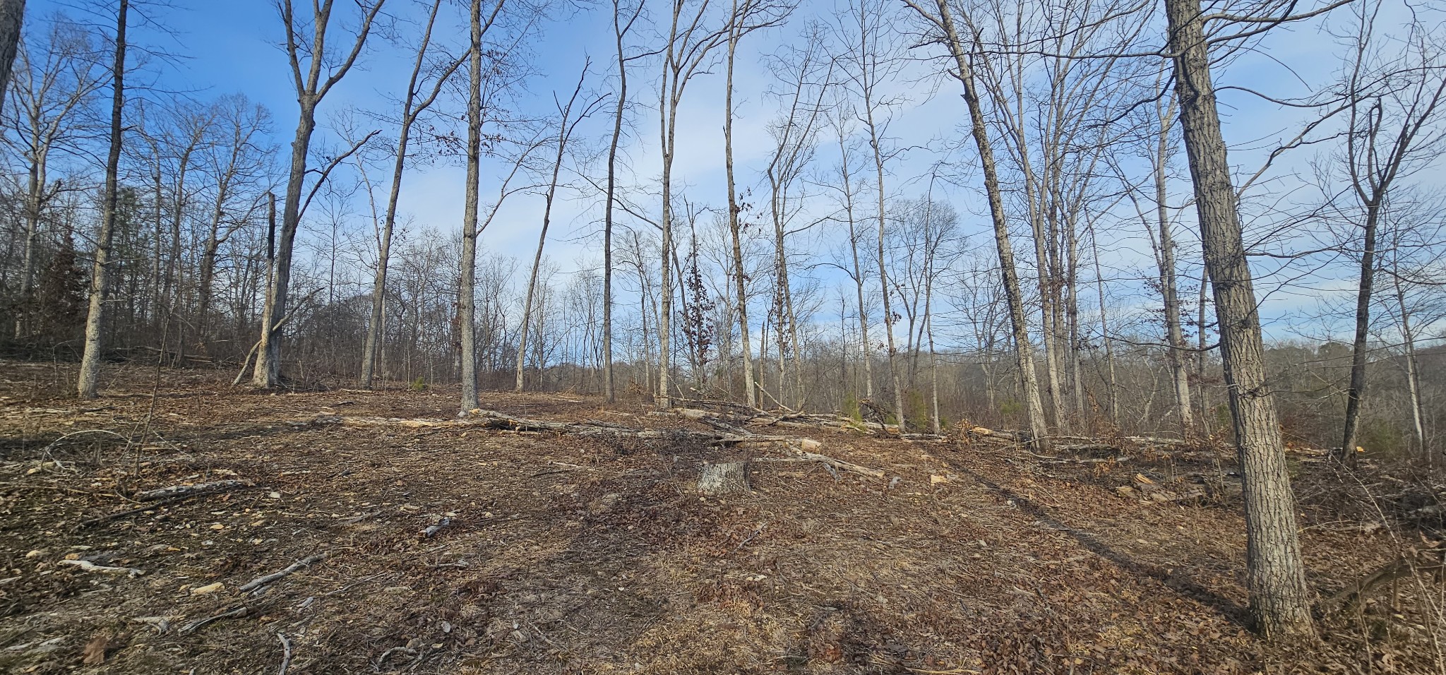 171 Old Mathis Hollow Ln Property Photo 8