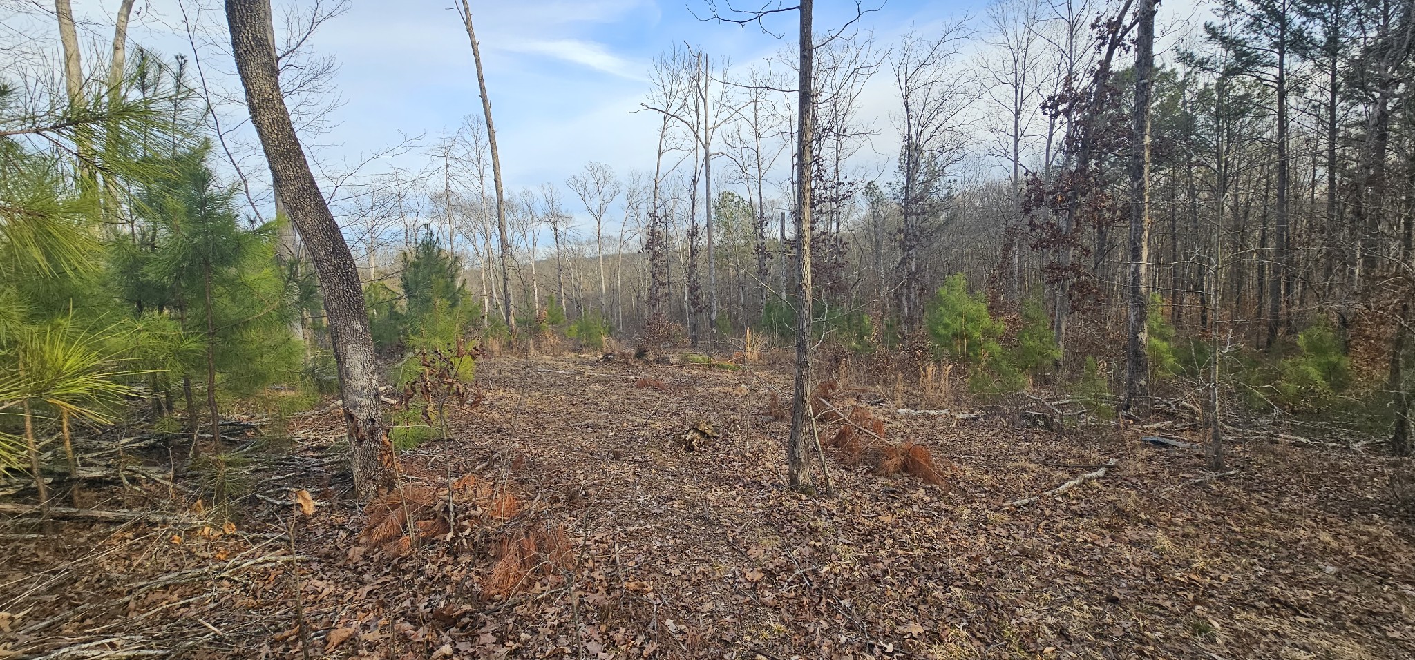 171 Old Mathis Hollow Ln Property Photo 9