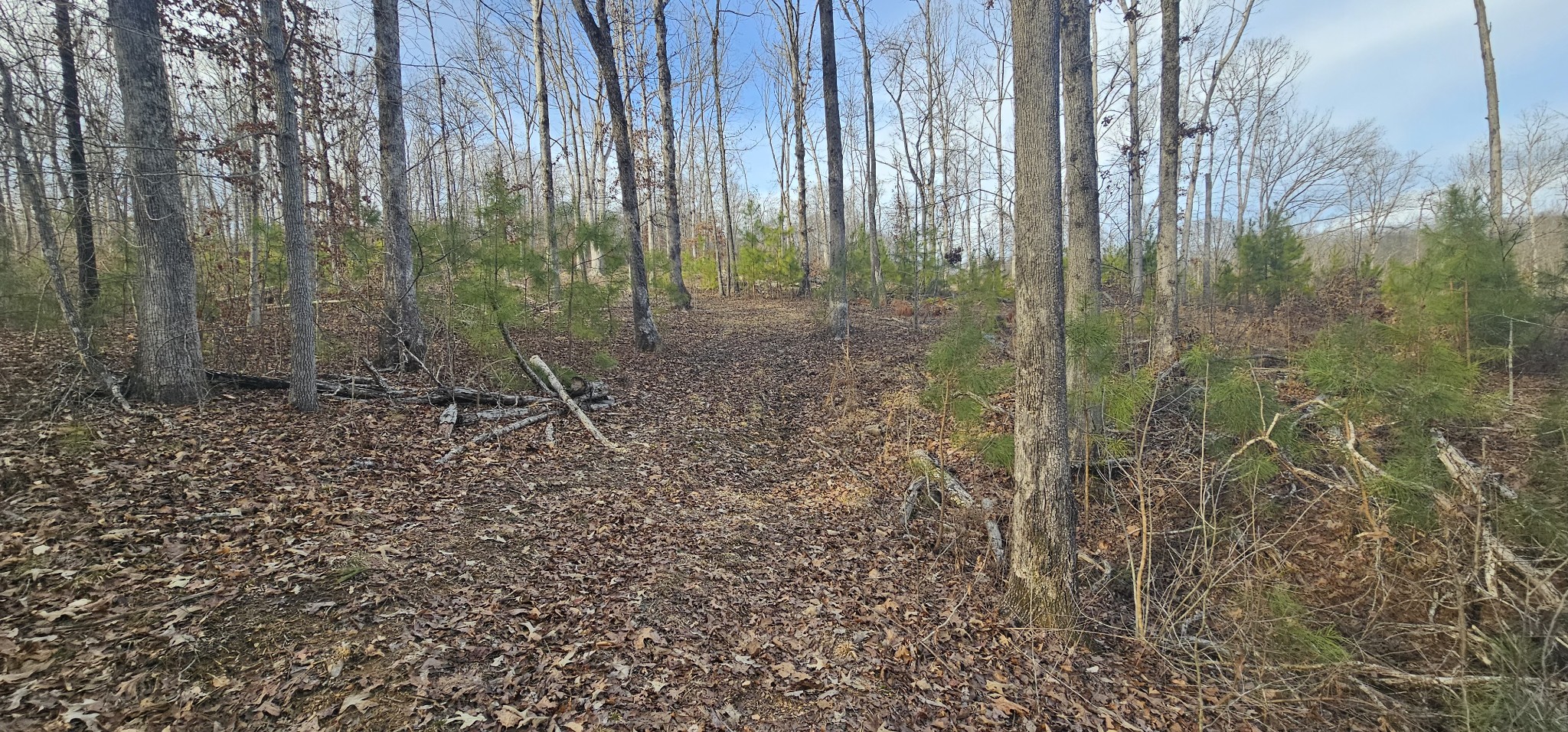 171 Old Mathis Hollow Ln Property Photo 10