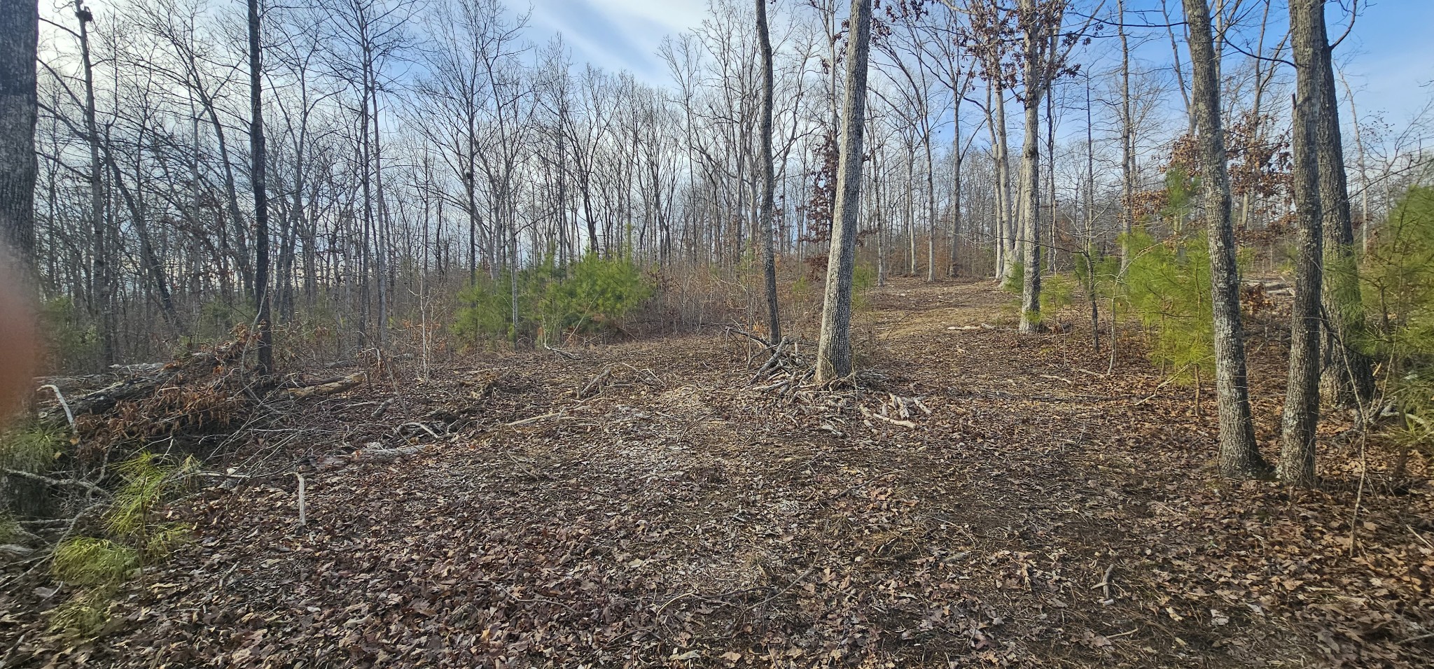 171 Old Mathis Hollow Ln Property Photo 11