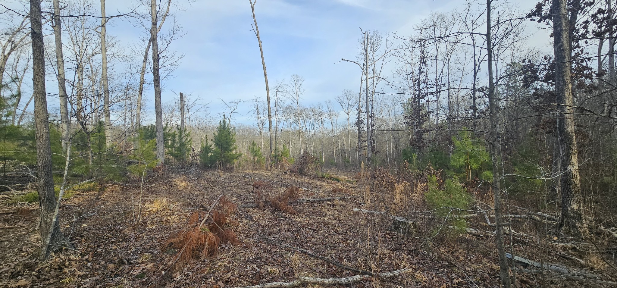 171 Old Mathis Hollow Ln Property Photo 12