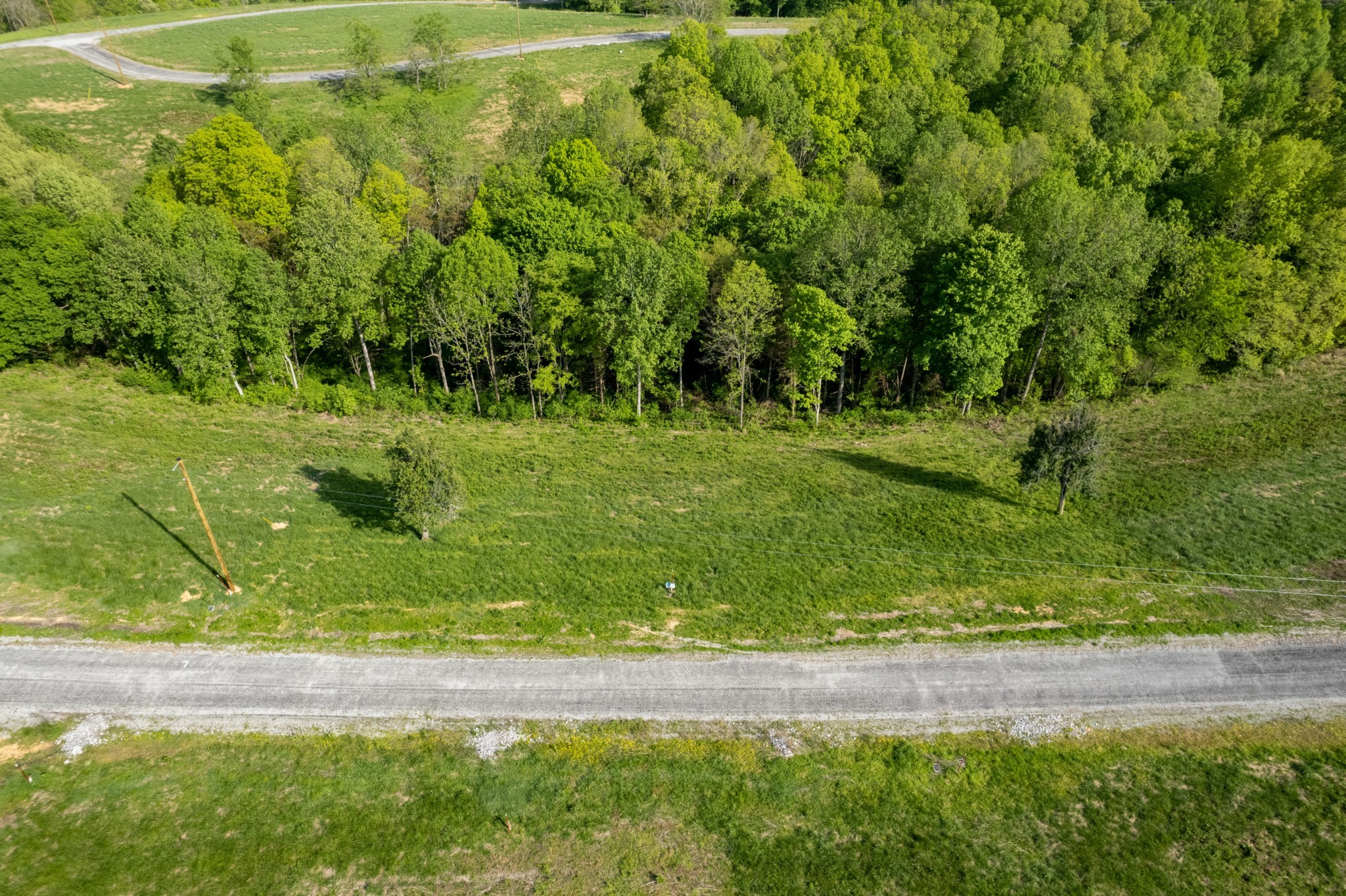 43 Eli Property Photo 2