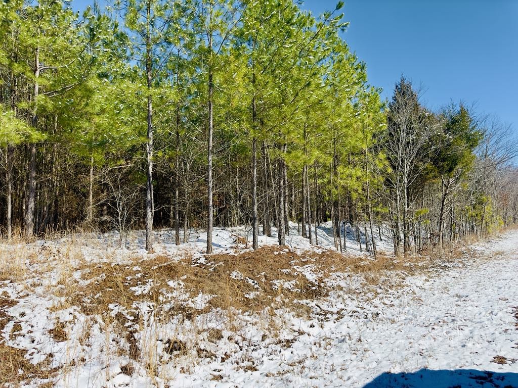 0 Walnut Grove Rd Property Photo 5
