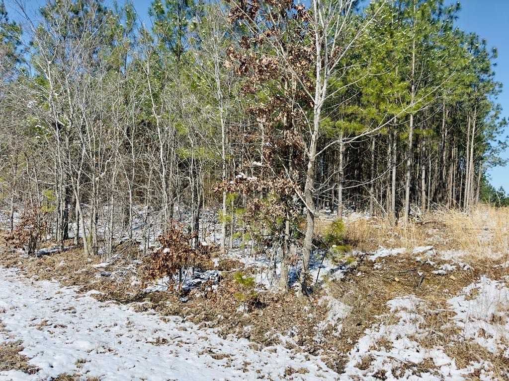 0 Walnut Grove Rd Property Photo 6