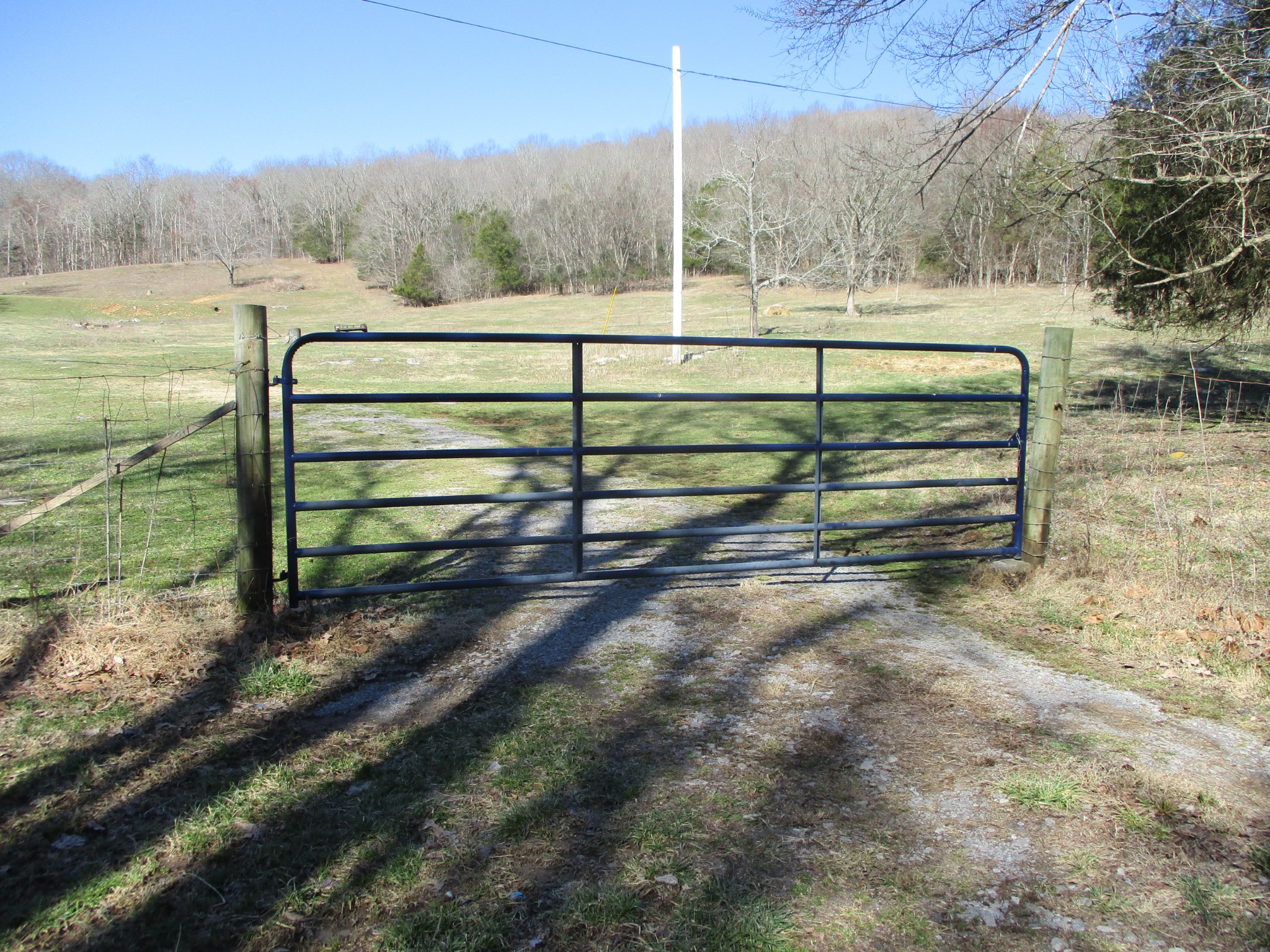 3800 Patton Hollow Rd Property Photo