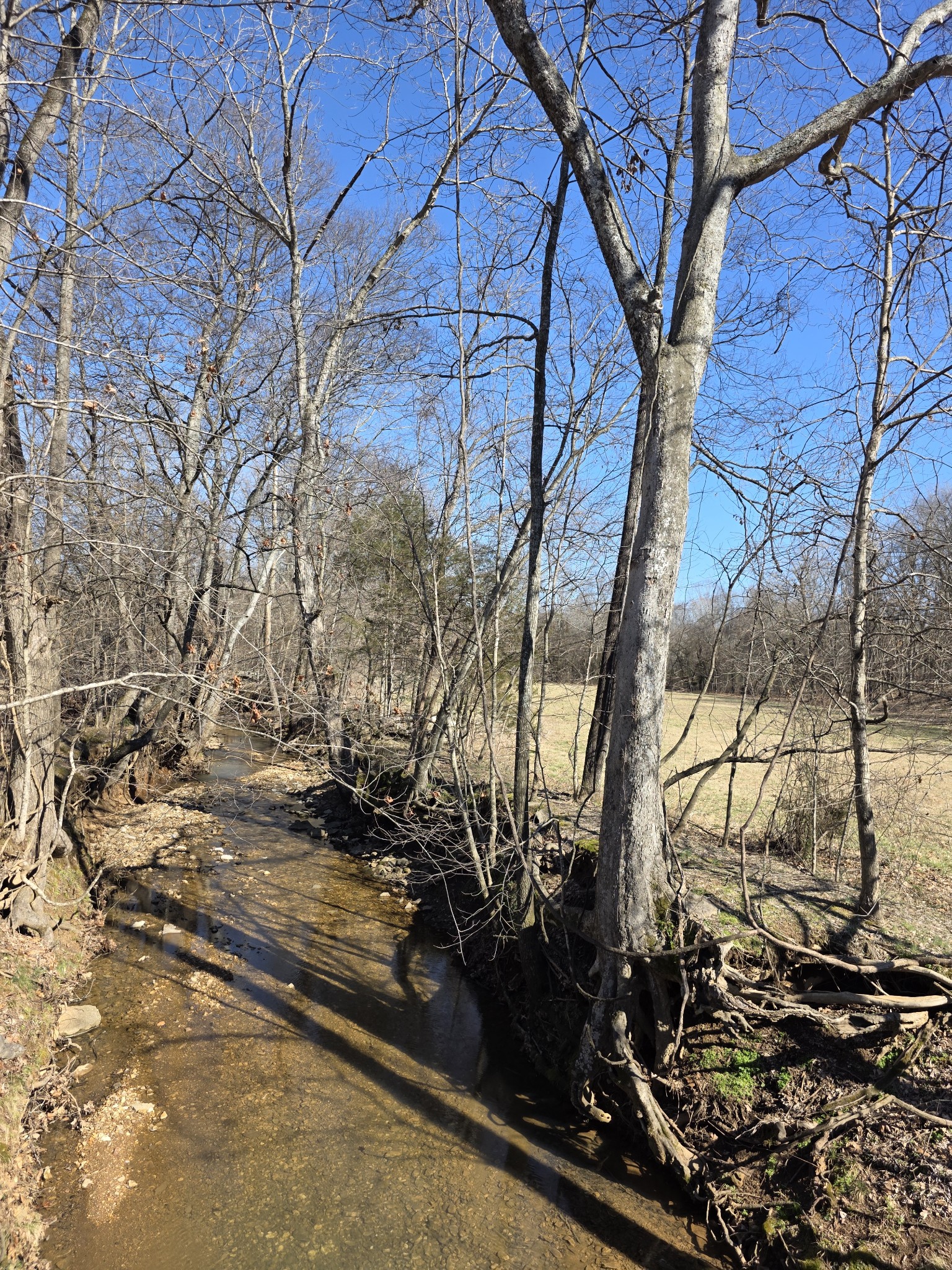 1046 Indian Creek Rd Property Photo 2