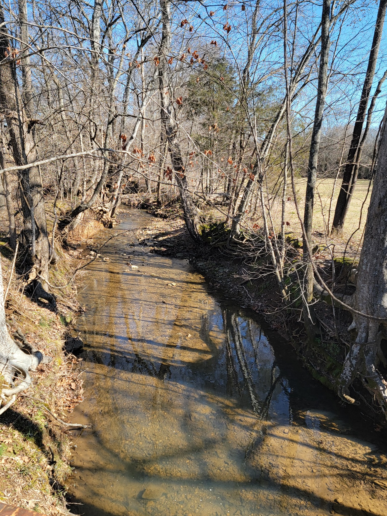 1046 Indian Creek Rd Property Photo 4