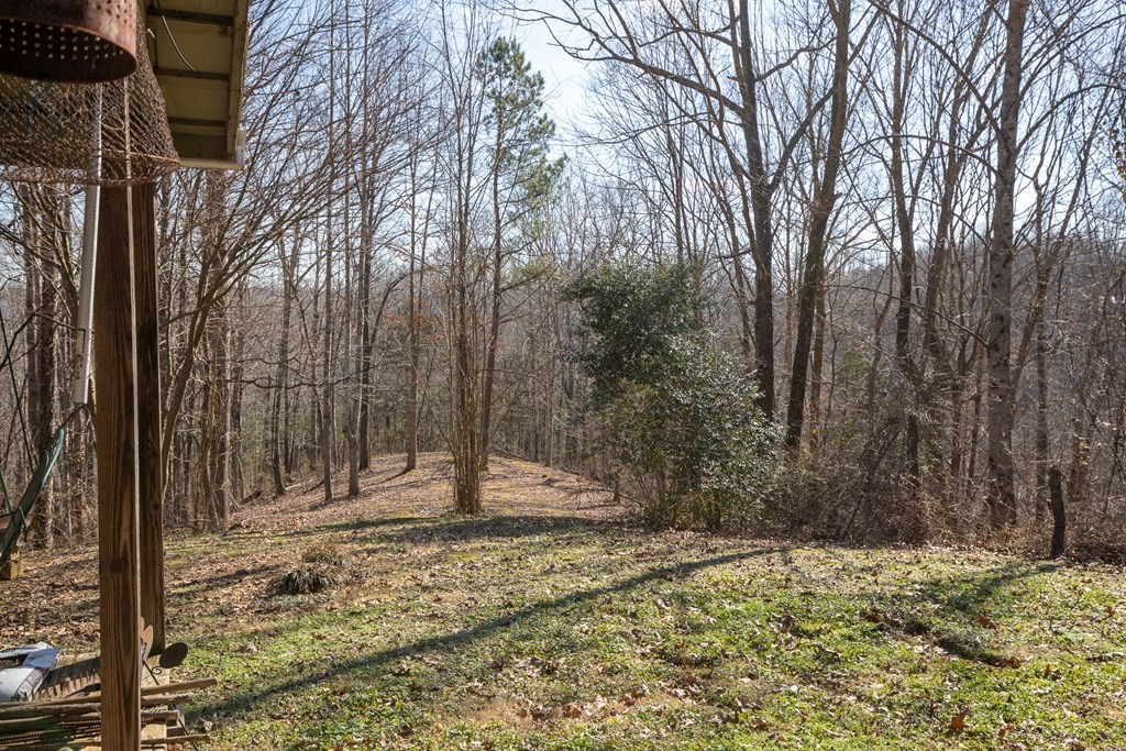 224 Golden Lane Property Photo 6