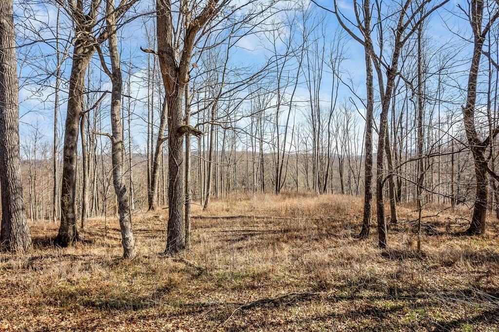 0 Forest Circle Property Photo 2