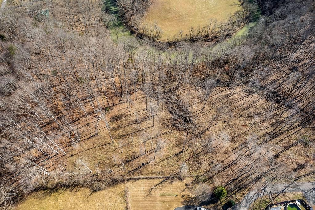 0 Forest Circle Property Photo 10