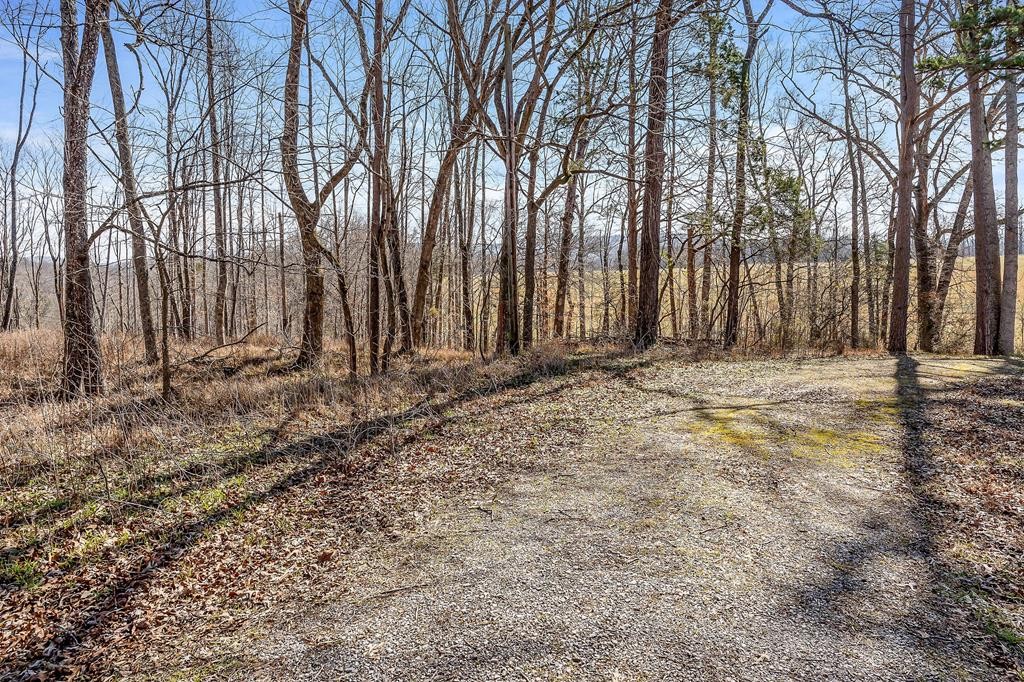0 Forest Circle Property Photo 22
