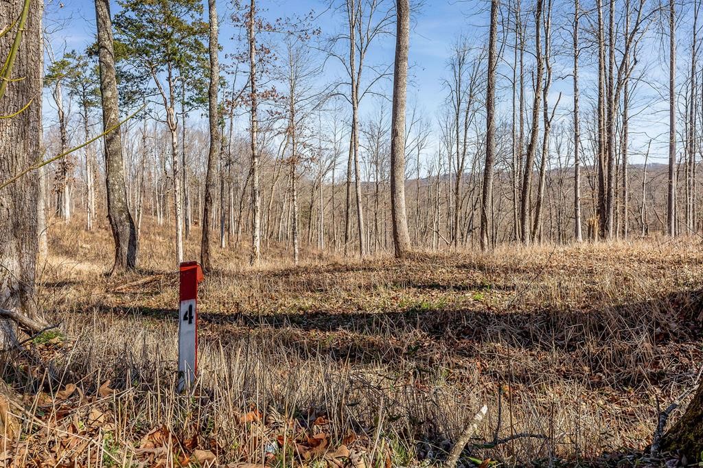 0 Forest Circle Property Photo 24
