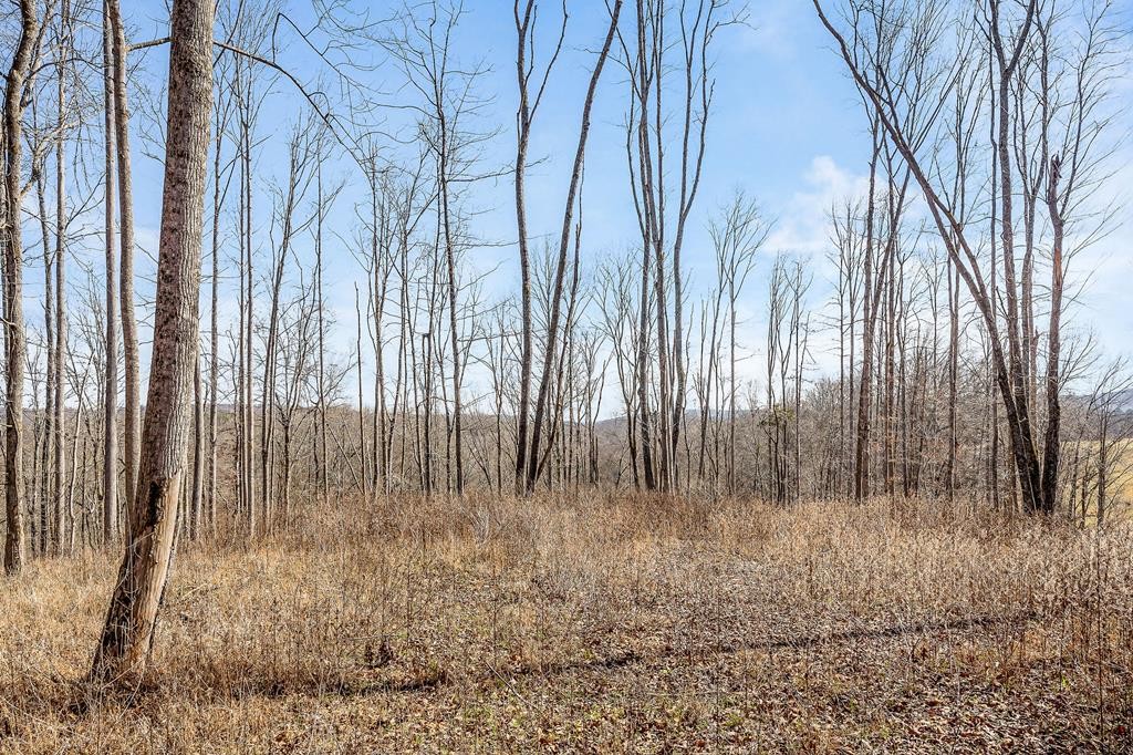 0 Forest Circle Property Photo 25