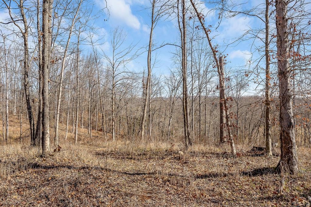 0 Forest Circle Property Photo 28