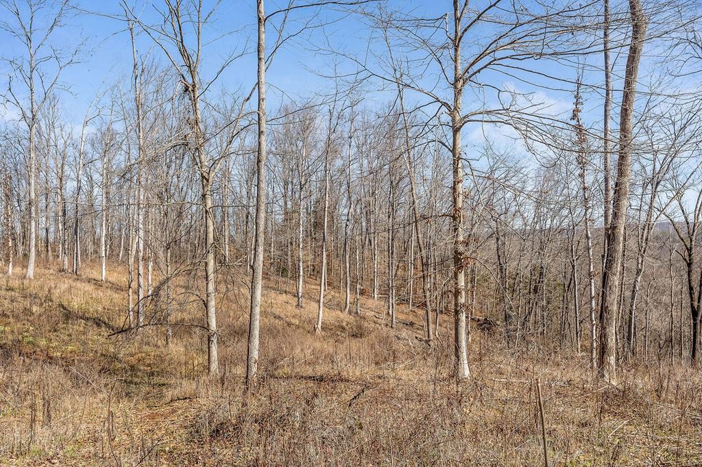 0 Forest Circle Property Photo 29