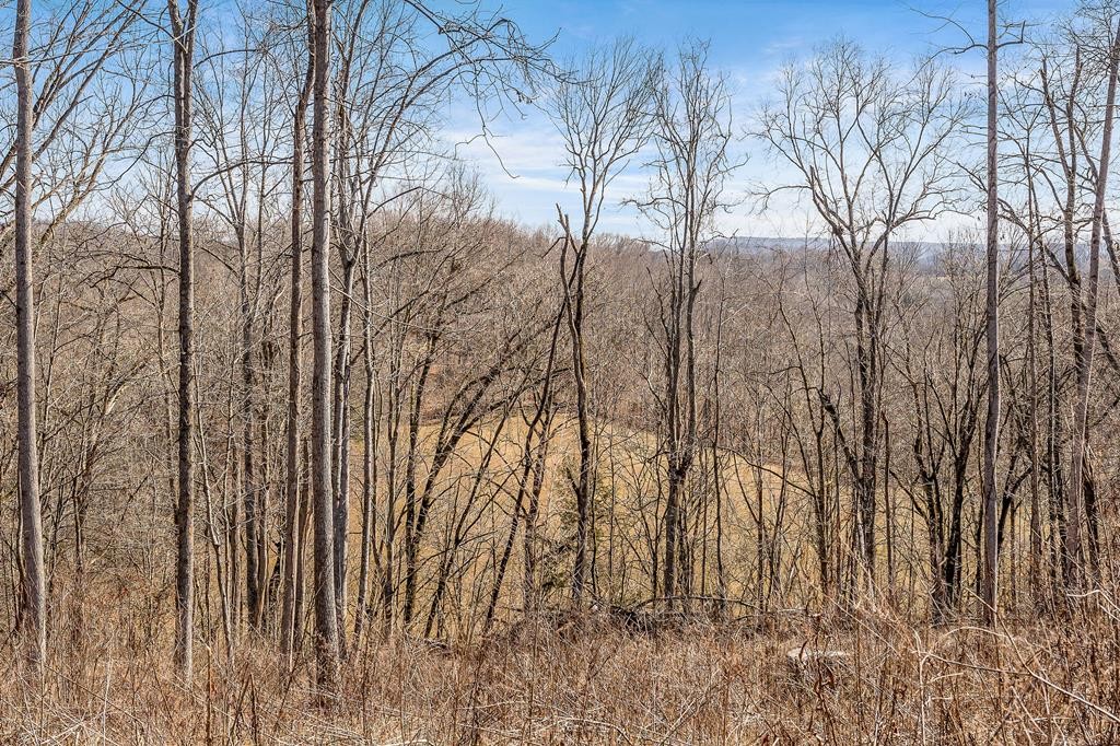 0 Forest Circle Property Photo 30