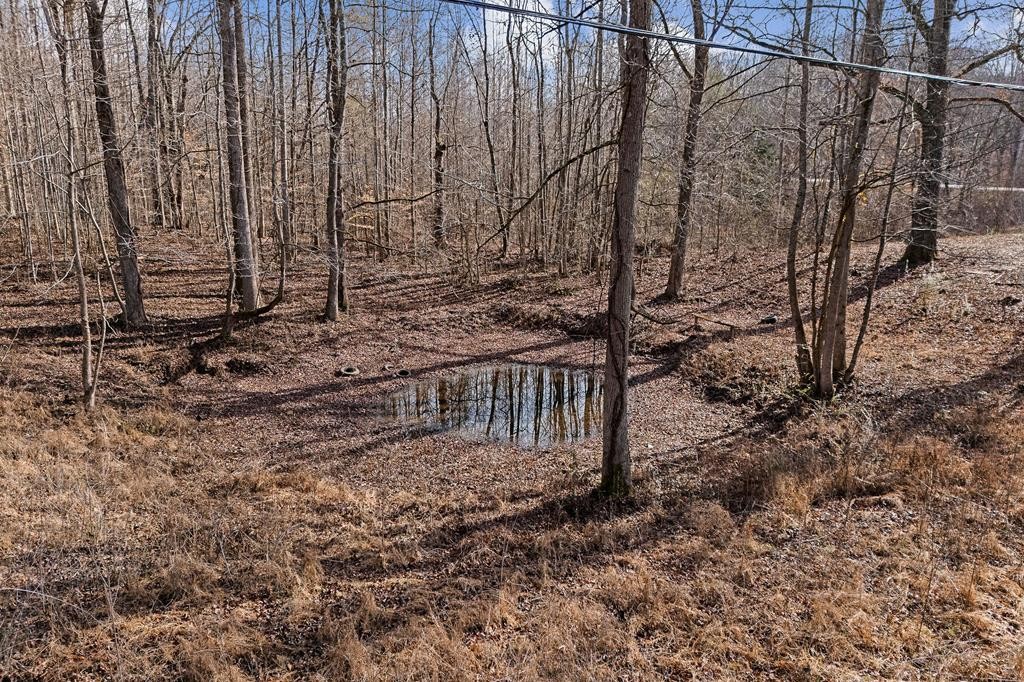 10469 Monterey Hwy Property Photo 5