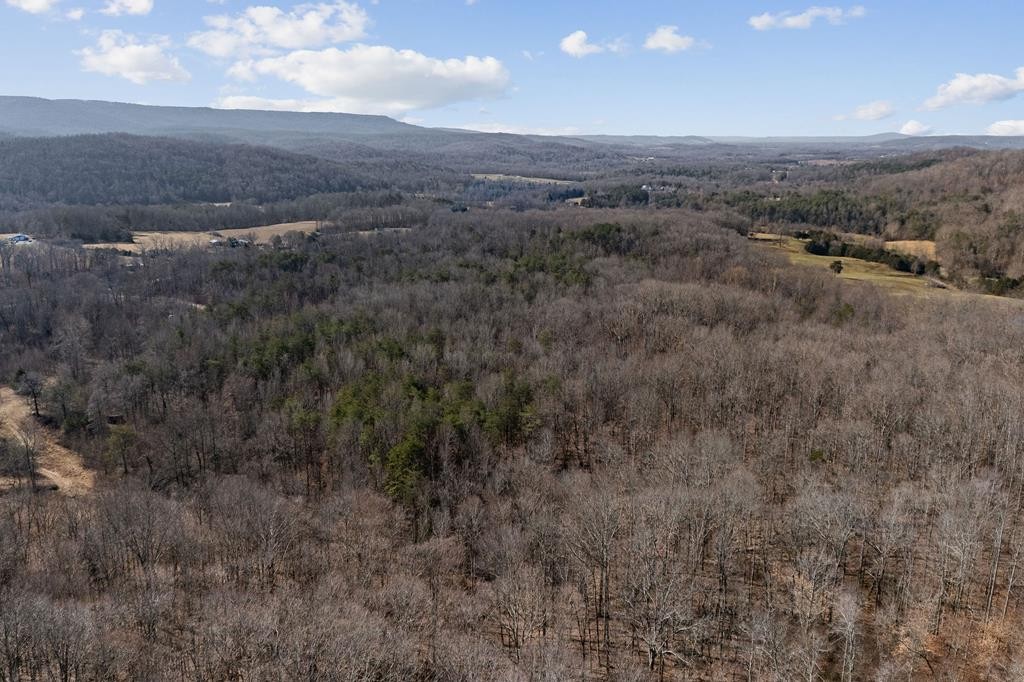 10469 Monterey Hwy Property Photo 15