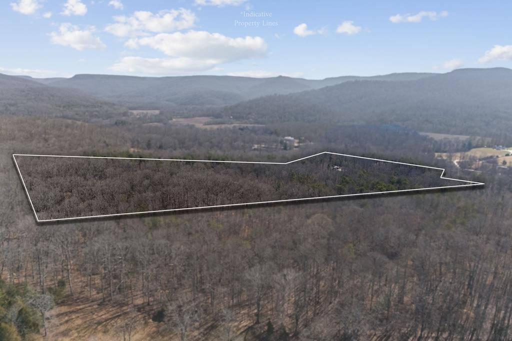 10469 Monterey Hwy Property Photo 16