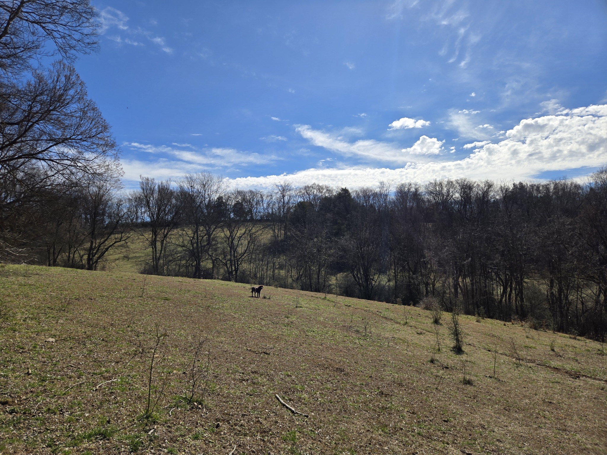 0 Ella West Circle Property Photo