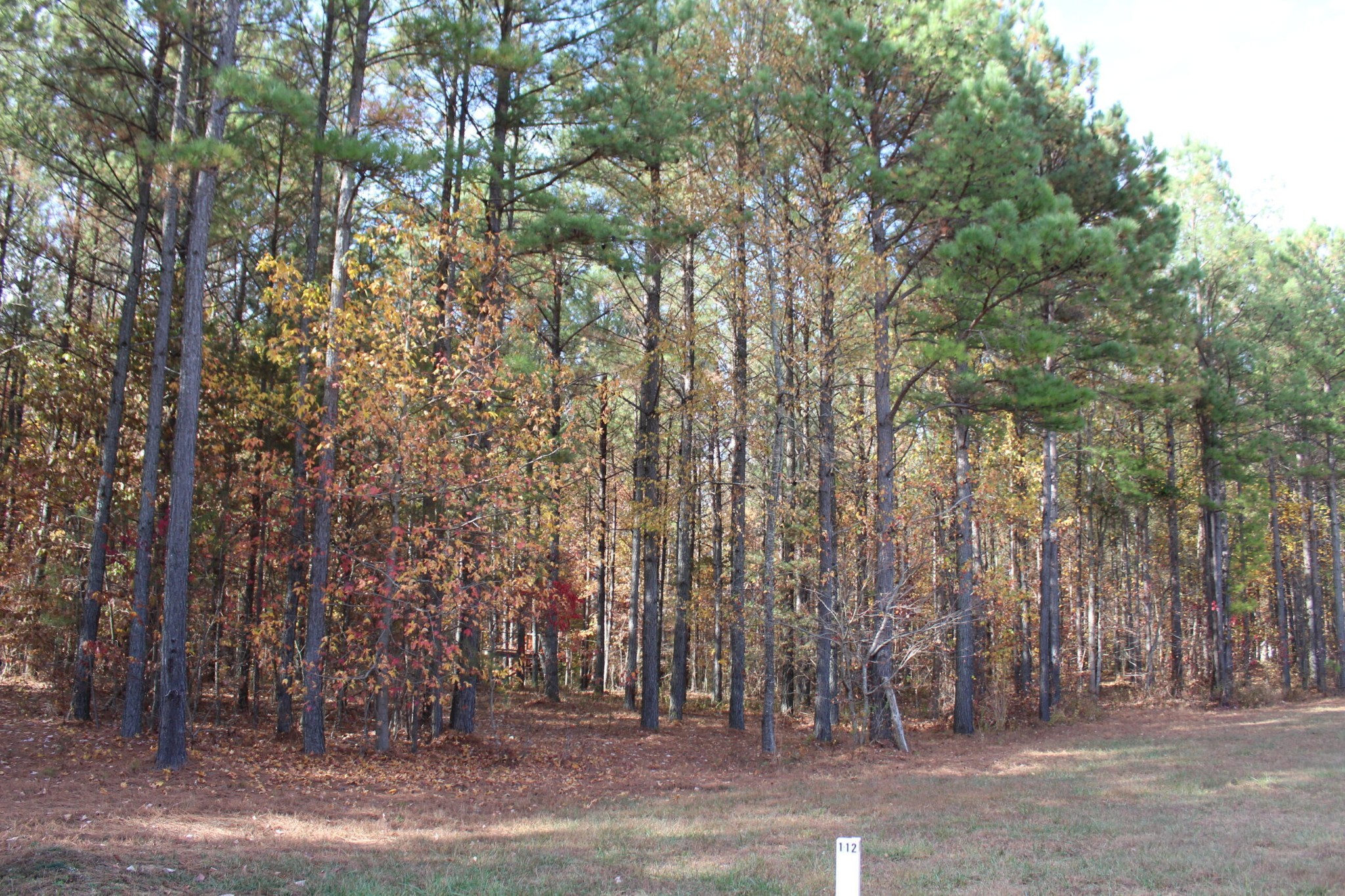 465 Compass Drive Property Photo 2